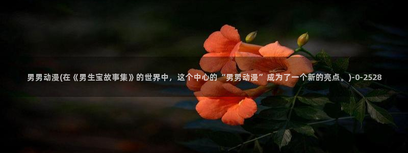 age动漫