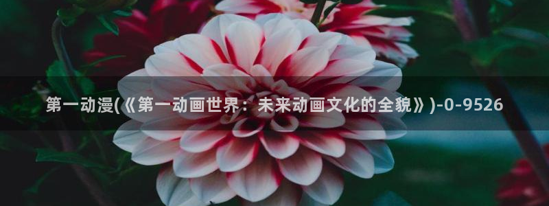 动漫天堂