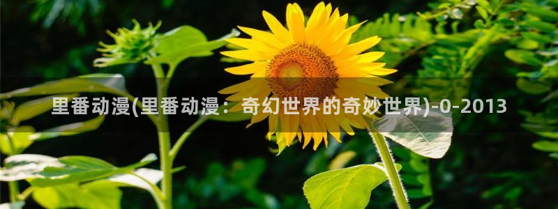 经典动漫